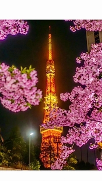 �u���O�摜