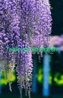 ދ.Bo