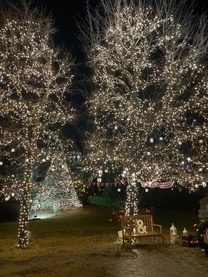 12���̗\��