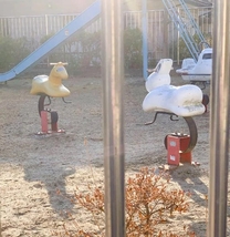 �V�т�����������