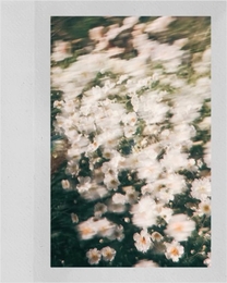 ���������܂�