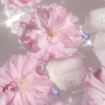 傤͂ĂNSNS