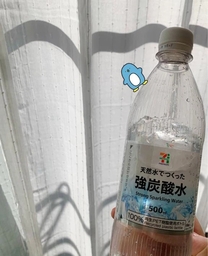 �u���O�摜
