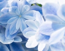 ���N����...