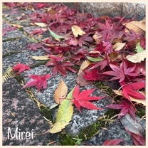 �u���O�摜