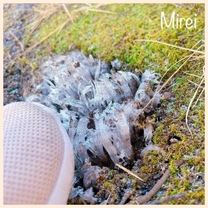 �{������