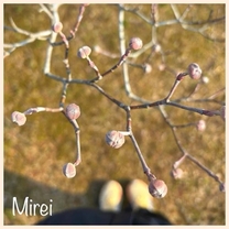 ���낭��...