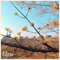 �u���O�摜