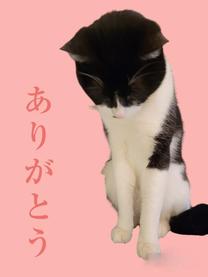 �u���O�摜