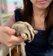 ?�Ȃ񂾂��A�A?