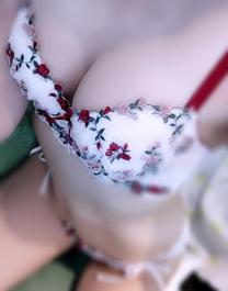 �u���O�摜