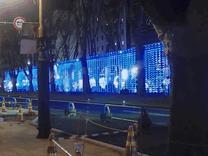 �V���Ȗ�����