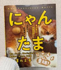 ������...