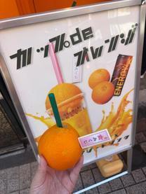 �u���O�摜