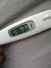 �u���O�摜