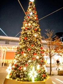 �u���O�摜