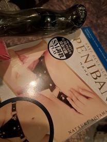 �u���O�摜