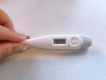 �u���O�摜