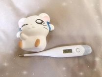 �u���O�摜