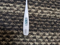 �u���O�摜