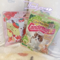 �u���O�摜