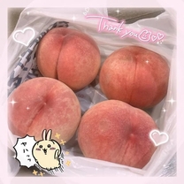 �u���O�摜