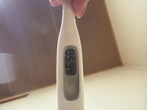 �u���O�摜