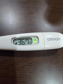 �u���O�摜