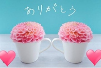 �{���̂���@���낦��...