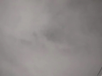 �����l�ł�