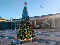 �u���O�摜