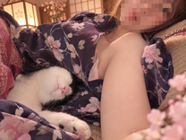 �u���O�摜