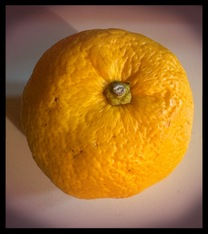 ���ε����β���