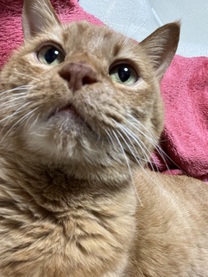 ��������o�΂��܂�??