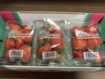 ���ε����β���