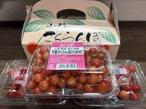 �u���O�摜