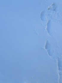 ���ε����β���