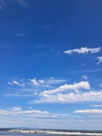 523