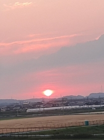εβ
