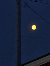 εβ