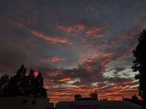 εβ