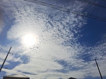 830