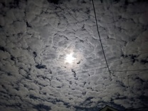 εβ