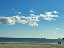 ���ε����β���