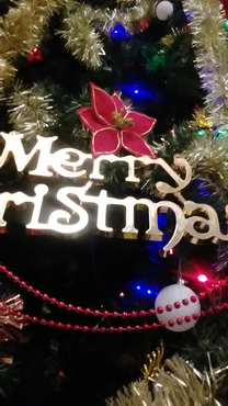 ����΂�͂ł��B