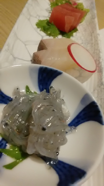 �u���O�摜