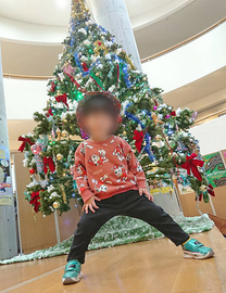 �u���O�摜