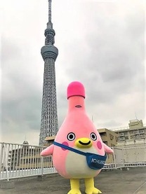 ブログ画像