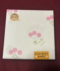�u���O�摜