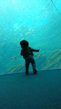 �u���O�摜